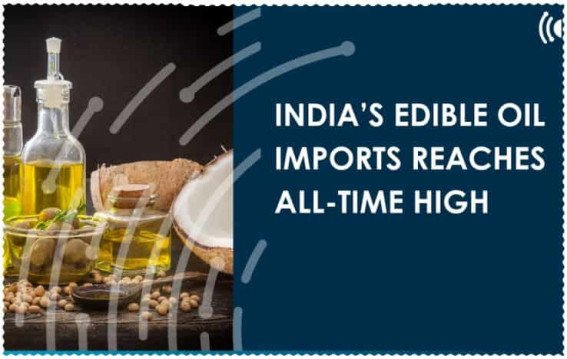 Indias Edible Oil Industry